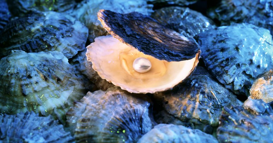 Oyster Symbolism & Meaning