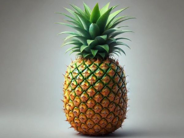 pineapple Symbolism & Meaning