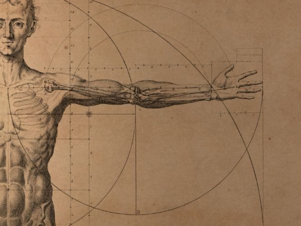 Human Symbolism & Meaning